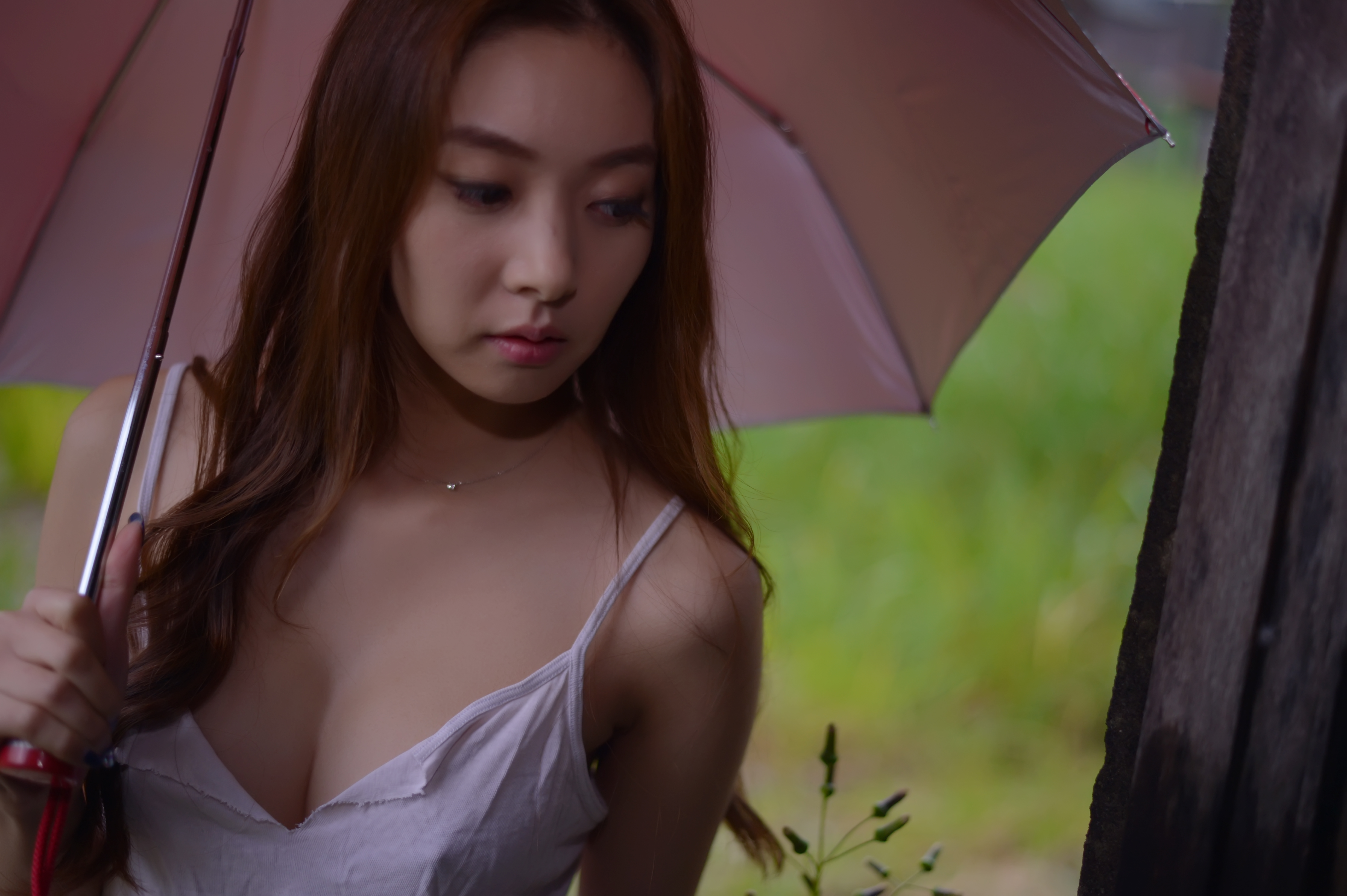 미분류 / 서연서 (레이싱걸 459장 2.60GB) 소프트